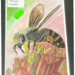 7" x 5" HONEYBEE ON TULIPS GREETINGS CARD