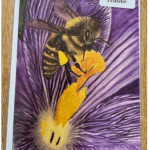 7" x 5" HONEYBEE ON PURPLE FLOWER GREETINGS CARD