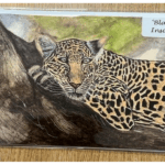 7" x 5" JAGUAR GREETINGS CARD