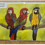 7" x 5" PARROTS GREETING CARD