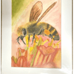 A3 Honeybee on Tulips Print