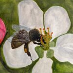 A3 Honeybee on Flower Print