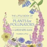 The Little Book of Plants for Pollinators by Maureen Little