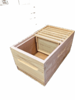 Mini Plus Hive (Frames not Included) - English Cedar - Image 2