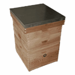 Custom Modified Dadant Hive