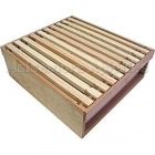 WBC Super with 10 SN1 Frames + Wired Foundation + Plastic Narrow Ends - CEDAR