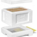 German Mini Plus III Nuc With Frames