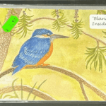 7" x 5" KINGFISHER GREETINGS CARD