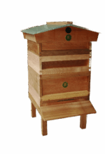 Custom National Hive - Image 2