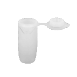 Introduction Queen Cells