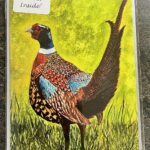 7" x 5" PHEASANT GREETINGS CARD