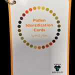 Pollen Identification Cards