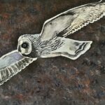 A3 Short-Eared Owl in Flight Print