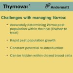 Thymovar (TREATS 5 HIVES) - Image 7